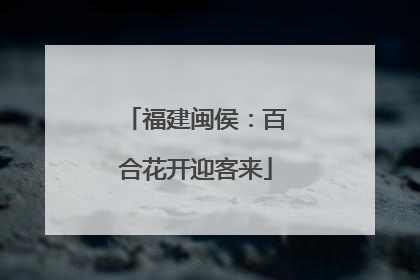 福建闽侯：百合花开迎客来