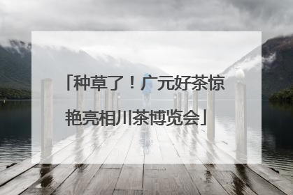 种草了！广元好茶惊艳亮相川茶博览会