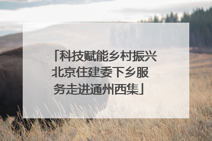 科技赋能乡村振兴 北京住建委下乡服务走进通州西集