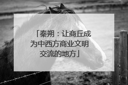秦朔：让商丘成为中西方商业文明交流的地方