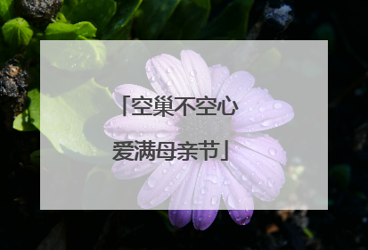 空巢不空心 爱满母亲节