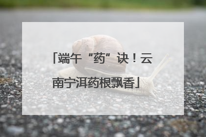 端午“药”诀！云南宁洱药根飘香