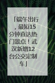端午出行，最短15分钟直达热门景点！武汉新增12台公交定制车