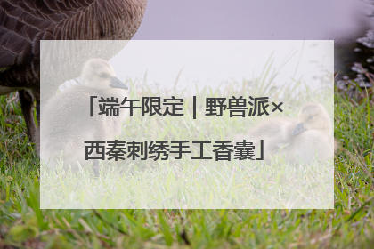端午限定｜野兽派×西秦刺绣手工香囊