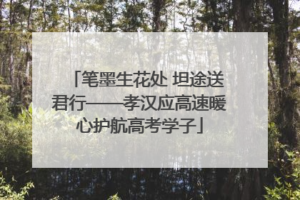 笔墨生花处 坦途送君行——孝汉应高速暖心护航高考学子