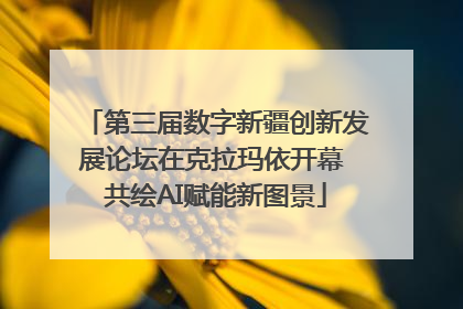第三届数字新疆创新发展论坛在克拉玛依开幕 共绘AI赋能新图景