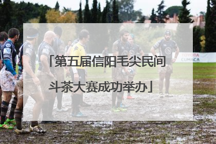 第五届信阳毛尖民间斗茶大赛成功举办