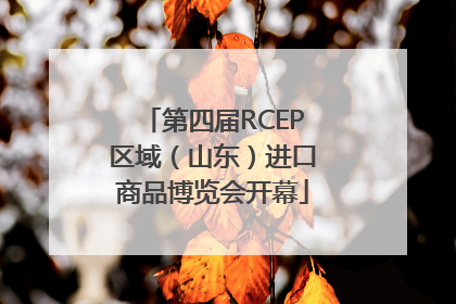 第四届RCEP区域（山东）进口商品博览会开幕