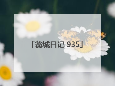 翁城日记 935