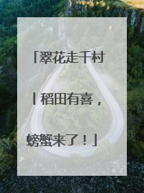 翠花走千村丨稻田有喜，螃蟹来了！