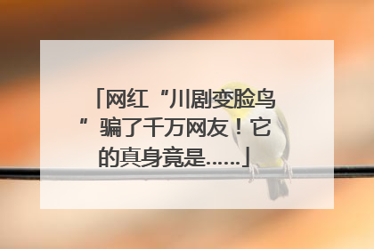 网红“川剧变脸鸟”骗了千万网友!它的真身竟是……