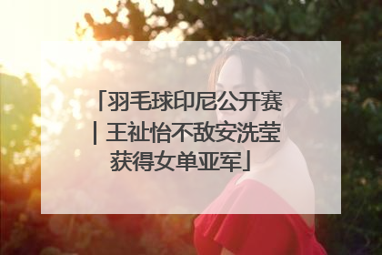 羽毛球印尼公开赛｜王祉怡不敌安洗莹 获得女单亚军