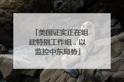美国证实正在组建特别工作组，以监控中东局势