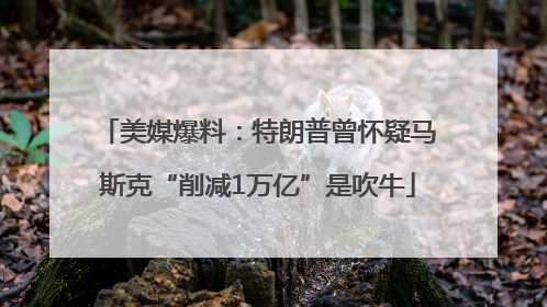美媒爆料：特朗普曾怀疑马斯克“削减1万亿”是吹牛