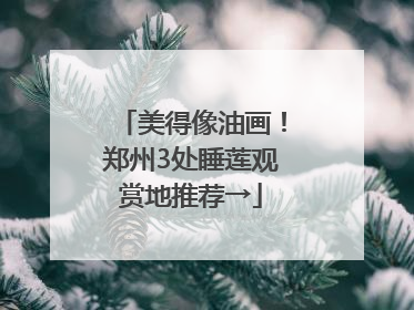美得像油画！郑州3处睡莲观赏地推荐→