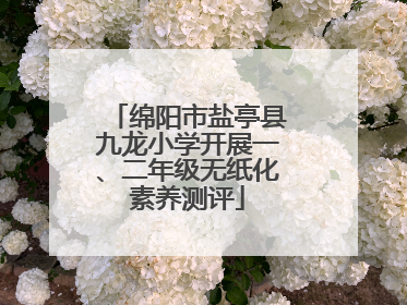 绵阳市盐亭县九龙小学开展一、二年级无纸化素养测评
