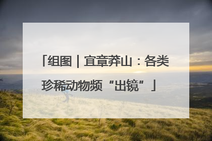组图｜宜章莽山：各类珍稀动物频“出镜”