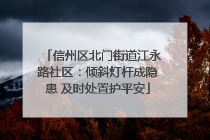 信州区北门街道江永路社区：倾斜灯杆成隐患 及时处置护平安