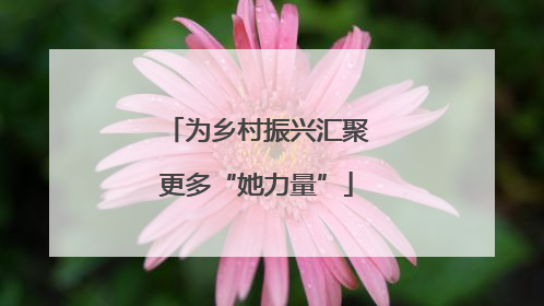 为乡村振兴汇聚更多“她力量”