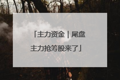 主力资金｜尾盘主力抢筹股来了