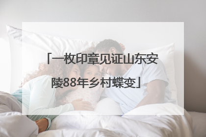一枚印章见证山东安陵88年乡村蝶变