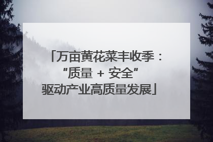 万亩黄花菜丰收季：“质量 + 安全” 驱动产业高质量发展