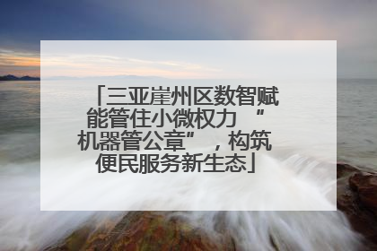 三亚崖州区数智赋能管住小微权力 “机器管公章”，构筑便民服务新生态