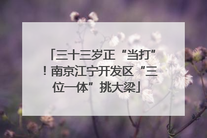 三十三岁正“当打”！南京江宁开发区“三位一体”挑大梁