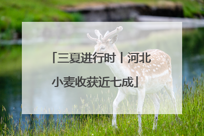 三夏进行时丨河北小麦收获近七成