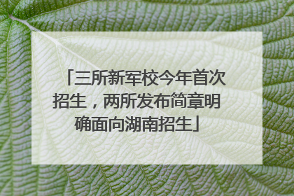 三所新军校今年首次招生，两所发布简章明确面向湖南招生