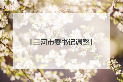 三河市委书记调整