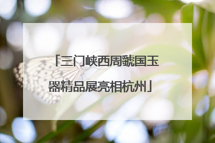 三门峡西周虢国玉器精品展亮相杭州