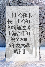 上合秘书长：上合组织将通过《上海合作组织至2035年发展战略》