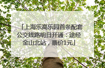 上海乐高乐园首条配套公交线路明日开通：途经金山北站，票价1元