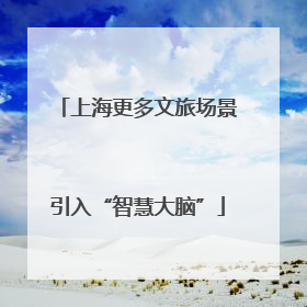 上海更多文旅场景引入“智慧大脑”