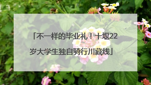 不一样的毕业礼！十堰22岁大学生独自骑行川藏线