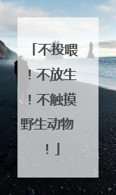 不投喂！不放生！不触摸野生动物！