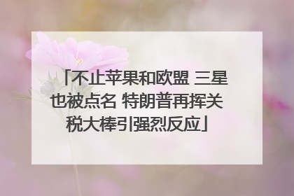 不止苹果和欧盟 三星也被点名 特朗普再挥关税大棒引强烈反应