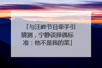 与汪峰节目牵手引猜测，宁静谈择偶标准：他不是我的菜
