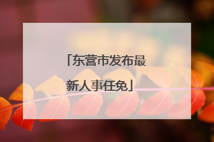 东营市发布最新人事任免
