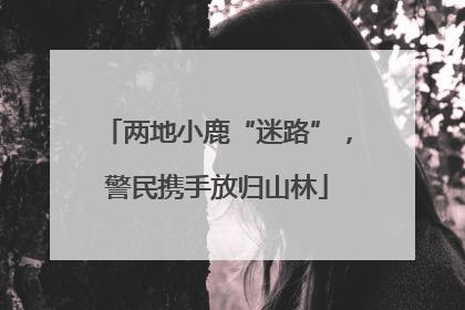 两地小鹿“迷路”，警民携手放归山林