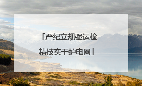 严纪立规强运检 精技实干护电网