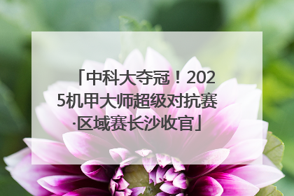 中科大夺冠！2025机甲大师超级对抗赛·区域赛长沙收官