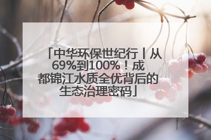 中华环保世纪行丨从69%到100%！成都锦江水质全优背后的生态治理密码