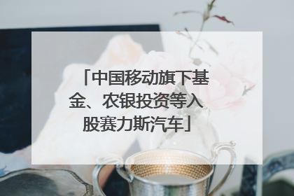 中国移动旗下基金、农银投资等入股赛力斯汽车