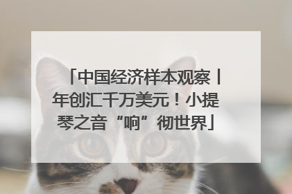中国经济样本观察丨年创汇千万美元！小提琴之音“响”彻世界