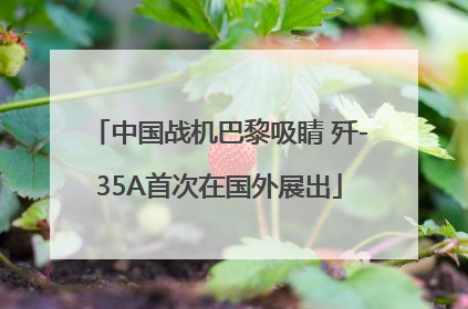 中国战机巴黎吸睛 歼-35A首次在国外展出
