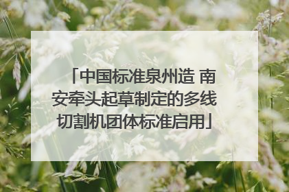 中国标准泉州造 南安牵头起草制定的多线切割机团体标准启用