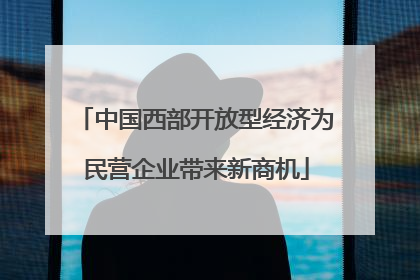 中国西部开放型经济为民营企业带来新商机
