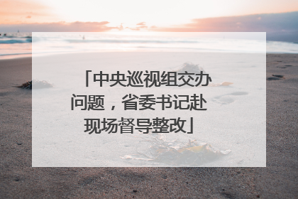中央巡视组交办问题，省委书记赴现场督导整改